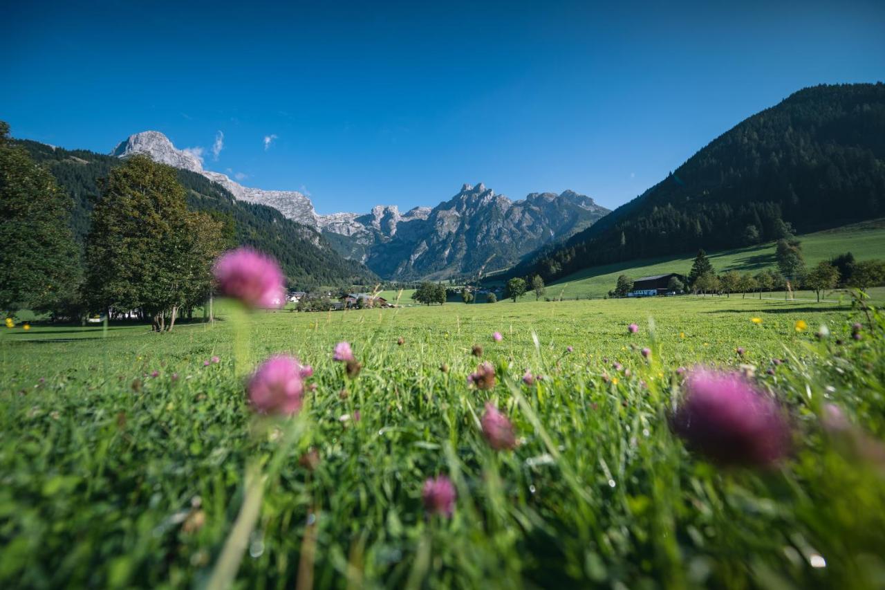 Hotel Wenger Alpenhof Werfenweng Zewnętrze zdjęcie